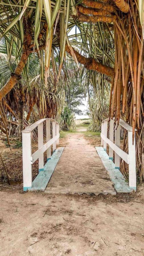Villa Ar Condicionado, Wi-Fi, Sem Mofo ! Ilha Comprida Exterior foto